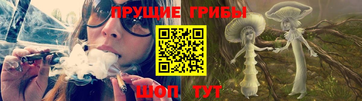 Псилоцибиновые грибы Psilocybe  магазин продажи   Воркута  Вход с VPN 